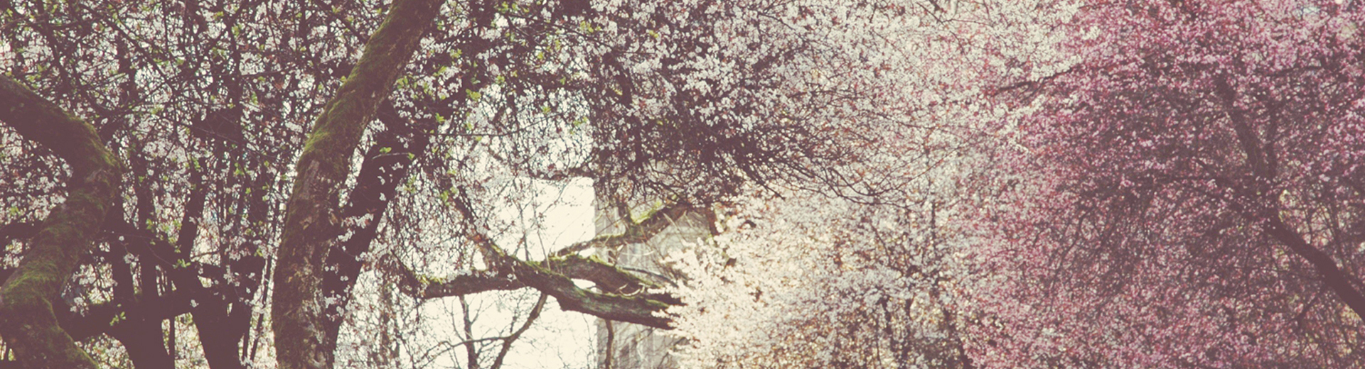 Slide background